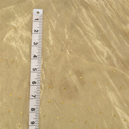 Sanskriti Vintage Green Long Skirt Pure Tissue Silk Handmade Unstitched Lehenga