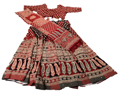 Sanskriti New Brown Pure Cotton Skirt Choli Dupatta Set Ajrakh Hand Block Print