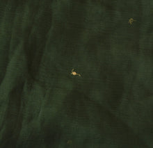 Load image into Gallery viewer, Sanskriti Vintage Dupatta Long Stole Chiffon Silk Green Hand Beaded Wrap Veil
