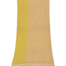 Load image into Gallery viewer, Sanskriti Vintage Dupatta Long Stole Chiffon Silk Green Veil Embroidered Shawl
