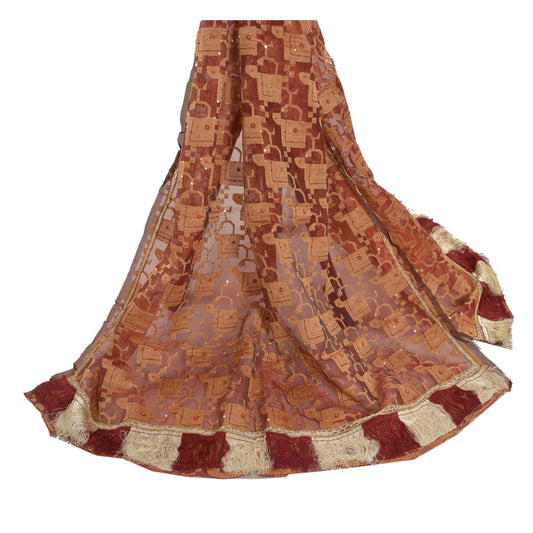Sanskriti Vintage Dupatta Long Stole Pure Organza Silk Hand Beaded Woven Veil
