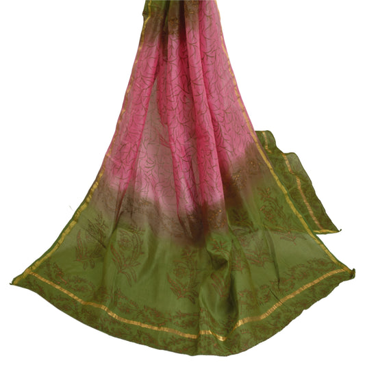 Sanskriti Vintage Dupatta Long Stole Chanderi Green Painted Woven Wrap Scarves