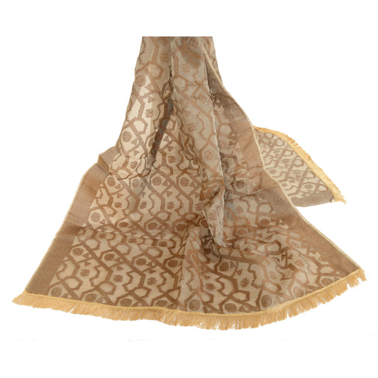 Sanskriti Vintage Dupatta Long Stole Pure Organza Silk Brown Woven Scarves