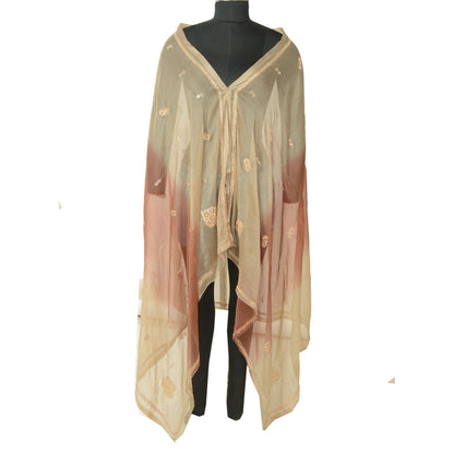 Sanskriti Vintage Beige Long Dupatta Stole Pure Chiffon Silk Hand Beaded Scarves