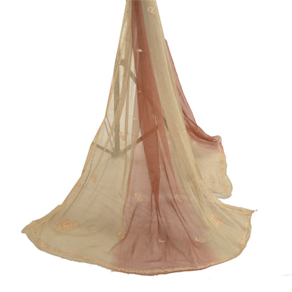 Sanskriti Vintage Beige Long Dupatta Stole Pure Chiffon Silk Hand Beaded Scarves