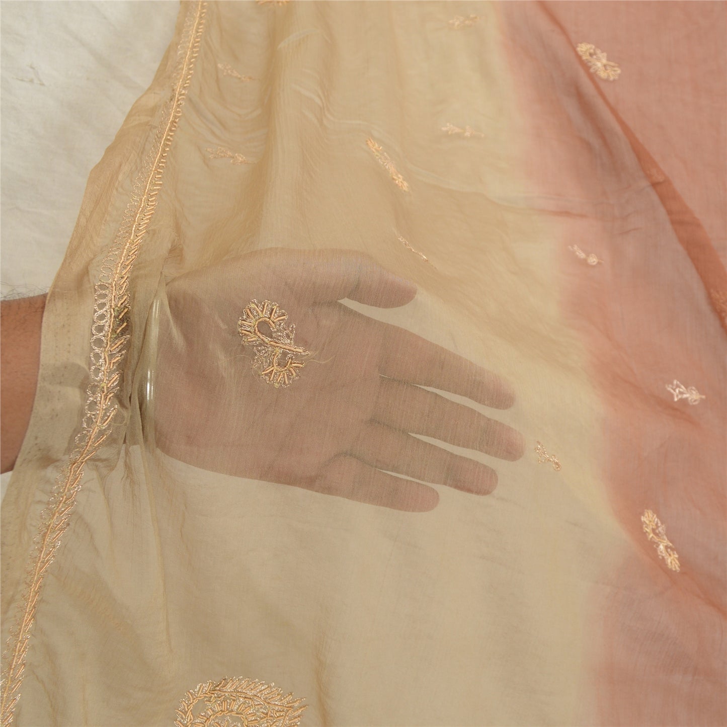 Sanskriti Vintage Beige Long Dupatta Stole Pure Chiffon Silk Hand Beaded Scarves