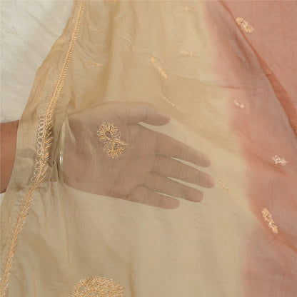 Sanskriti Vintage Beige Long Dupatta Stole Pure Chiffon Silk Hand Beaded Scarves