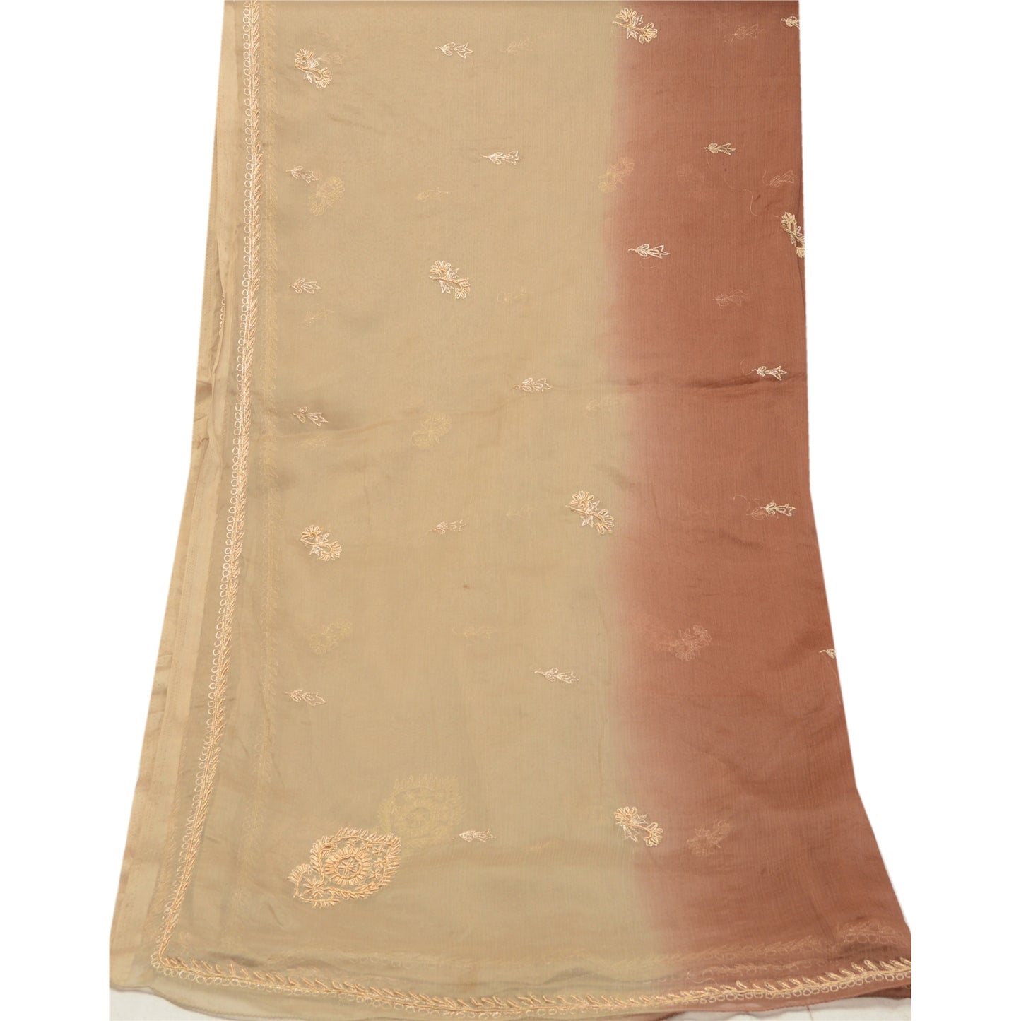 Sanskriti Vintage Beige Long Dupatta Stole Pure Chiffon Silk Hand Beaded Scarves