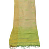 Sanskriti Vintage Green Long Dupatta Stole Pure Silk Embroidered Woven Hijab