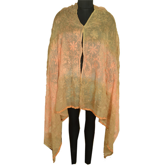 Sanskriti Vintage Dupatta Long Stole Blend Georgette Peach/Green Handmade Kantha