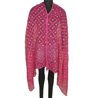 Sanskriti Vintage Pink Long Dupatta/Stole Georgette Handmade Chikankari Veil