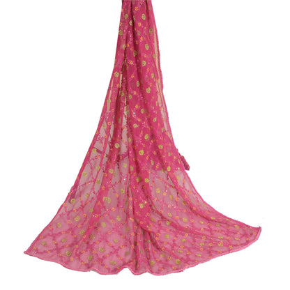 Sanskriti Vintage Pink Long Dupatta/Stole Georgette Handmade Chikankari Veil