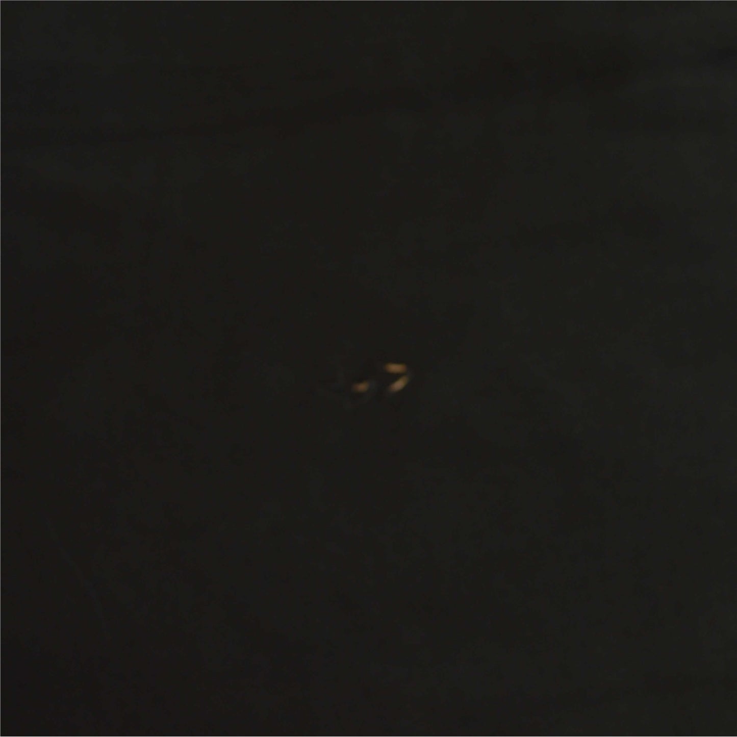 Sanskriti Vintage Long Black Dupatta/Stole Pure Crepe Silk Hand Beaded Scarves