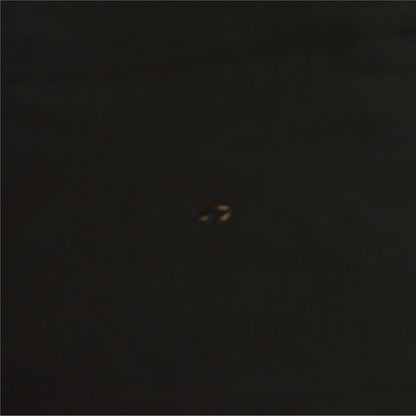 Sanskriti Vintage Long Black Dupatta/Stole Pure Crepe Silk Hand Beaded Scarves