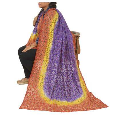 Sanskriti Vintage Multicolor Long Dupatta Stole Net Mesh Hand Beaded Woven