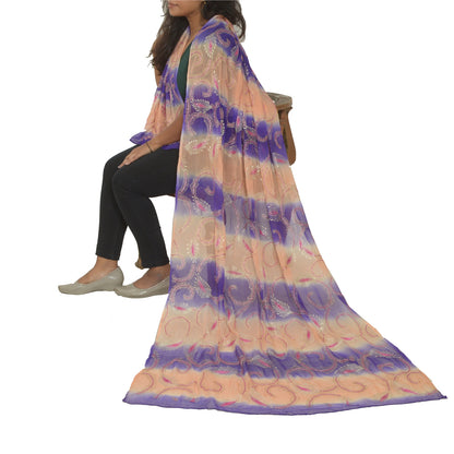 Sanskriti Vintage Long Peach/Purple Dupatta/Stole Pure Chiffon Silk Hand Beaded