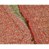 Sanskriti Vintage Sarees Indian Red & Green Blend Silk Printed Sari Craft Sustainable Fabric