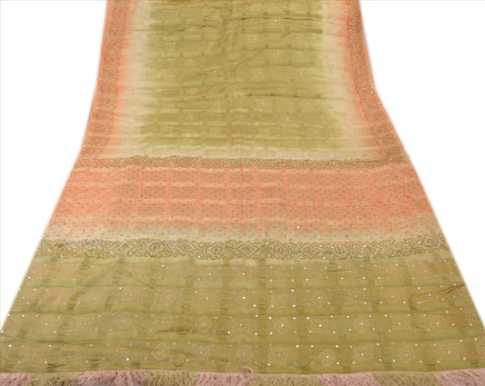 SANSKRITI VINTAGE INDIAN SAREE EMBROIDERED PAINTED SARI Sustainable Fabric PURE SILK CRAFT