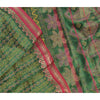 Sanskriti Vintage Indian Saree Art Silk Painted Green Craft Sustainable Fabric Premium Sari