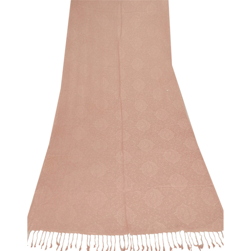 Sanskriti New Brown Shawl Viscose Sauroski Woven Work Long Stole Soft Scarf