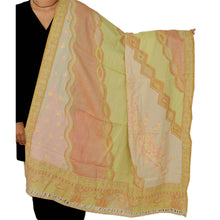 Load image into Gallery viewer, Multi Hand Embroidered Woolen Woven Shawl Ari Work Stole Scarf
