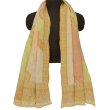 Load image into Gallery viewer, Multi Hand Embroidered Woolen Woven Shawl Ari Work Stole Scarf
