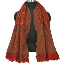 Load image into Gallery viewer, Sanskriti Vintage Red Woolen Shawl Hand Embroidered Ari Work Stole Soft Scarf

