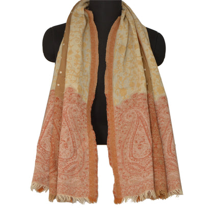 Sanskriti Vintage Cream Woolen Shawl Hand Embroidered Ari Work Stole Warm Scarf