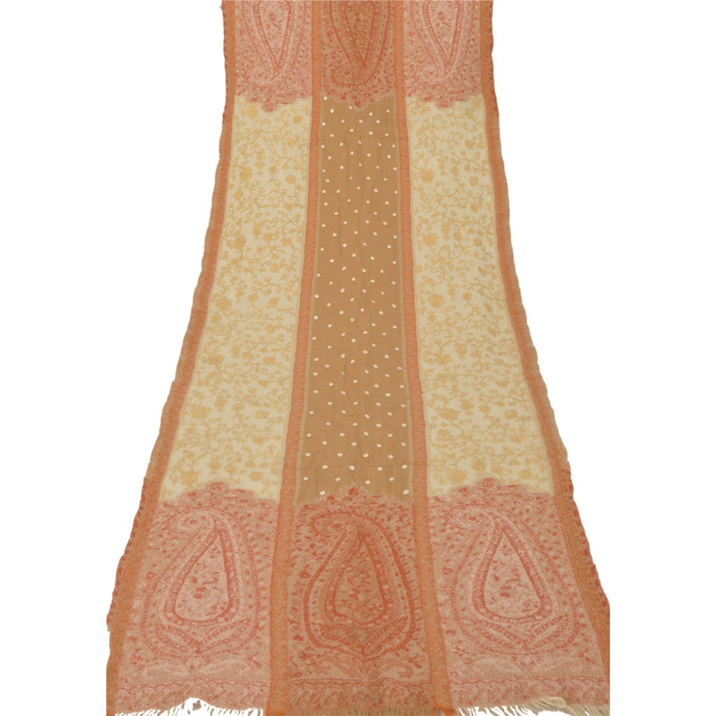 Sanskriti Vintage Cream Woolen Shawl Hand Embroidered Ari Work Stole Warm Scarf