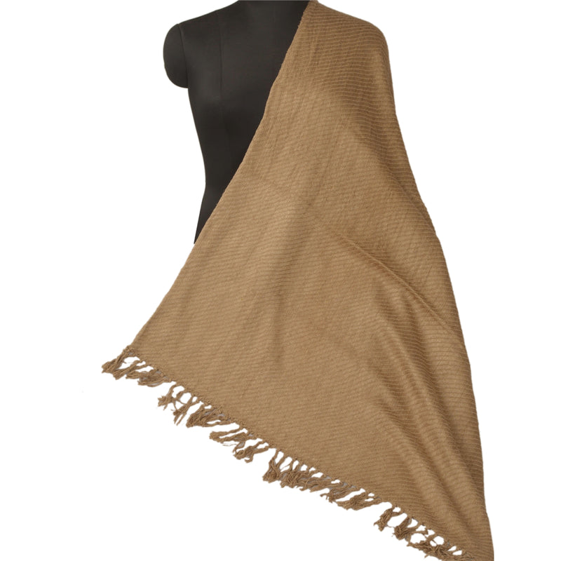 Sanskriti Vintage Brown Woollen Shawl Woven Work Long Stole Soft Scarf Floral