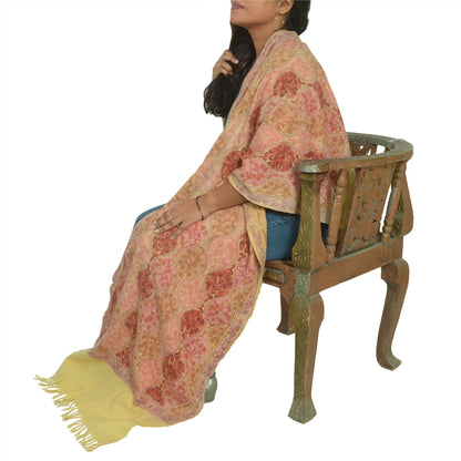 Sanskriti Vintage Long Ivory Pure Woolen Shawl Handmade Ari Work Scarf Stole