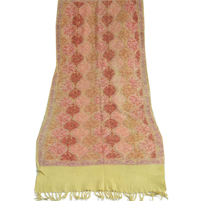 Sanskriti Vintage Long Ivory Pure Woolen Shawl Handmade Ari Work Scarf Stole
